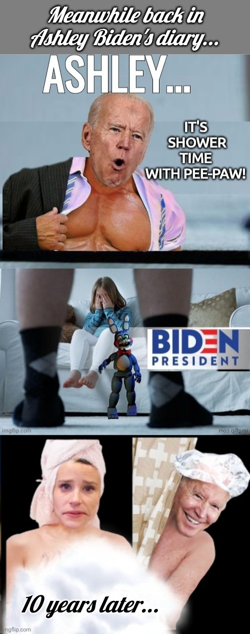 Meanwhile back in Ashley Biden's diary... 10 years later... | image tagged in blank grey,ashley biden with geritol joe,joe biden ashley biden shower | made w/ Imgflip meme maker