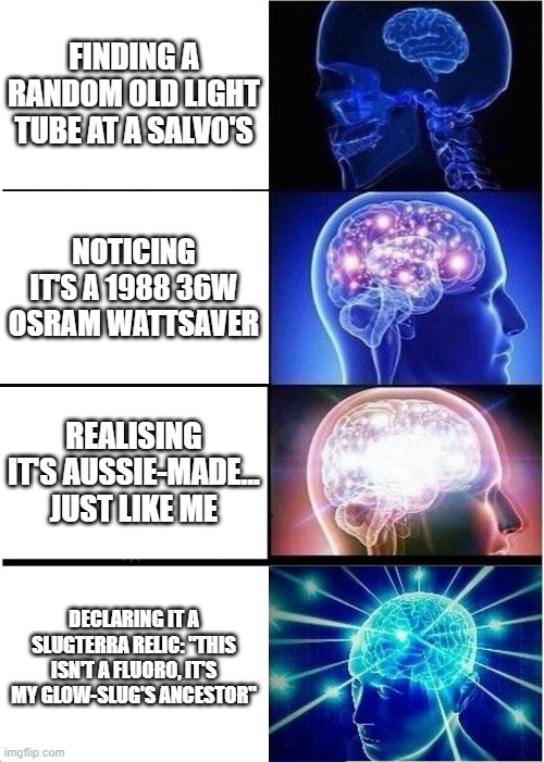 Expanding Brain Meme | FINDING A RANDOM OLD LIGHT TUBE AT A SALVO'S; NOTICING IT'S A 1988 36W OSRAM WATTSAVER; REALISING IT'S AUSSIE-MADE... JUST LIKE ME; DECLARING IT A SLUGTERRA RELIC: "THIS ISN'T A FLUORO, IT'S MY GLOW-SLUG'S ANCESTOR" | image tagged in memes,expanding brain | made w/ Imgflip meme maker