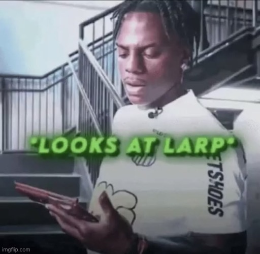 looks at larp | image tagged in looks at larp | made w/ Imgflip meme maker