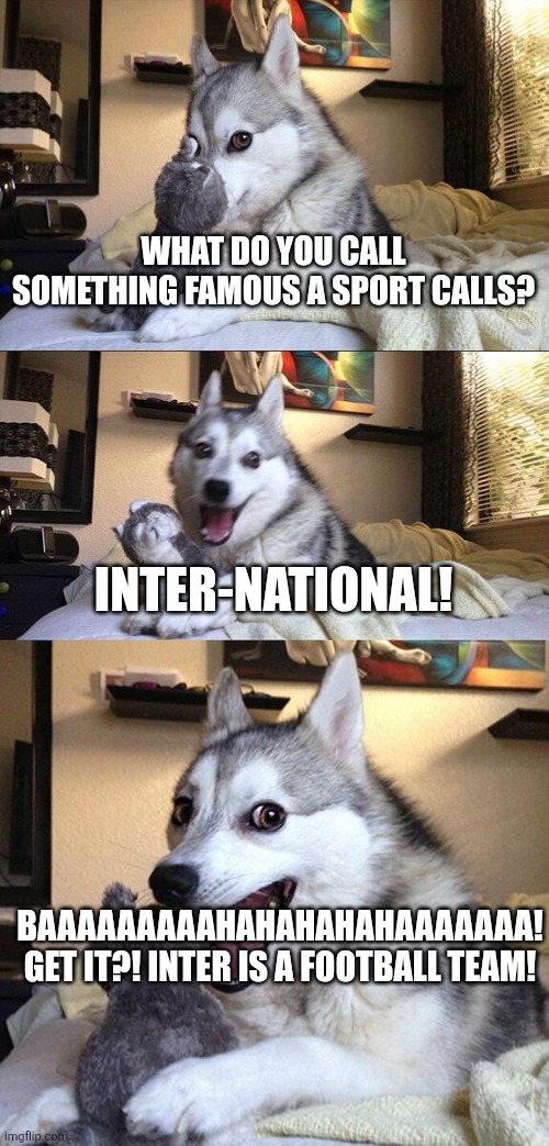 Inter | What do you call something famous a sport calls? Inter-national! BAAAAAAAAAHAHAHAHAHAAAAAAA! GET IT?! INTER IS A FOOTBALL TEAM! | image tagged in memes,bad pun dog,football,joke | made w/ Imgflip meme maker