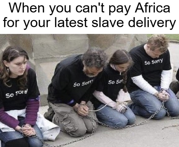 ...And the Muslims (Trans-Saharan Slave Trade) | image tagged in slavery,africa,politics | made w/ Imgflip meme maker