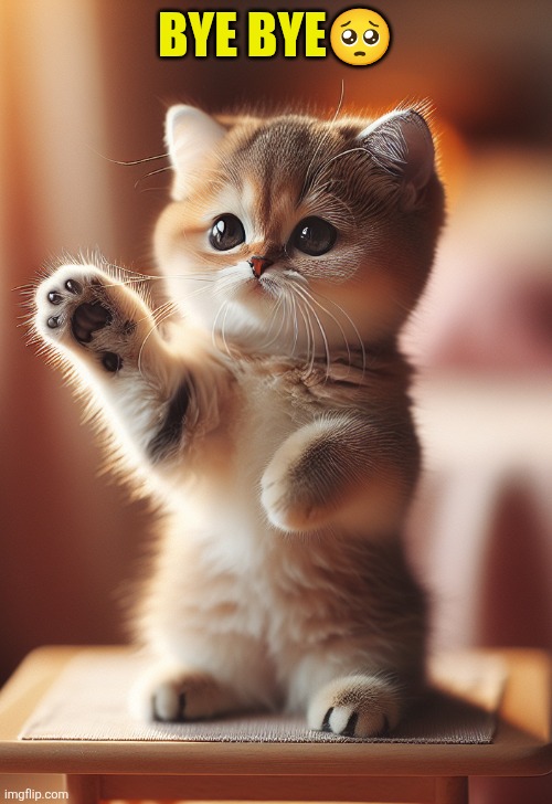 a cute cat waving goodbye | Bye bye? | image tagged in a cute cat waving goodbye | made w/ Imgflip meme maker