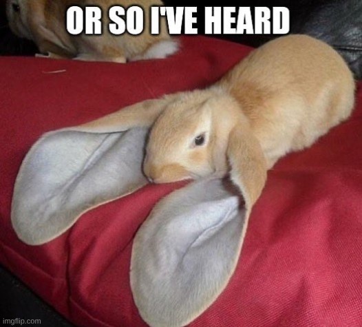 or so i've heard | image tagged in or so i've heard | made w/ Imgflip meme maker