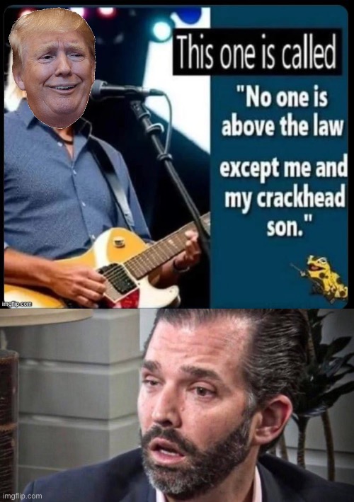 image tagged in don trump jr coked up facing left | made w/ Imgflip meme maker