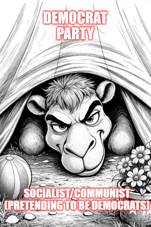 Big Tent | Democrat party; Socialist/communist (pretending to be Democrats) | image tagged in socialists,communists,democrats | made w/ Imgflip meme maker