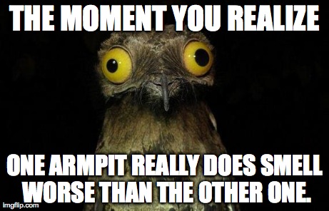 Weird Stuff I Do Potoo | THE MOMENT YOU REALIZE ONE ARMPIT REALLY DOES SMELL WORSE THAN THE OTHER ONE. | image tagged in memes,weird stuff i do potoo | made w/ Imgflip meme maker