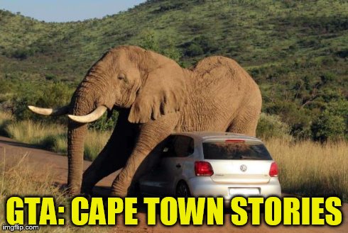 Slow Times at Rockstar Games | GTA: CAPE TOWN STORIES | image tagged in elephant on volkswagen,grand theft auto,elephant,volkswagon | made w/ Imgflip meme maker