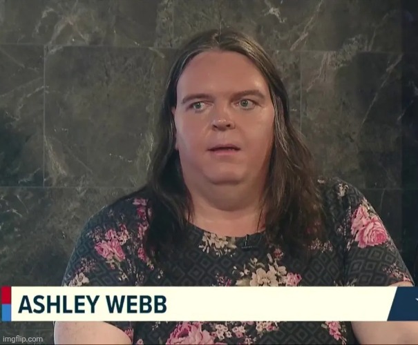 Ashley Webb | image tagged in ashley webb | made w/ Imgflip meme maker