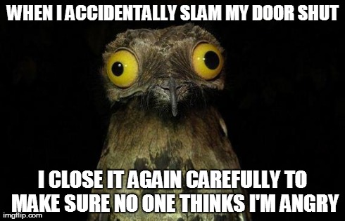Weird Stuff I Do Potoo Meme | WHEN I ACCIDENTALLY SLAM MY DOOR SHUT I CLOSE IT AGAIN CAREFULLY TO MAKE SURE NO ONE THINKS I'M ANGRY | image tagged in memes,weird stuff i do potoo | made w/ Imgflip meme maker