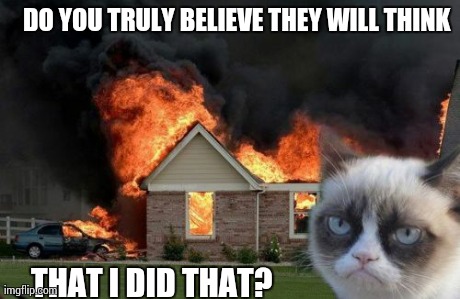 Burn Kitty | DO YOU TRULY BELIEVE THEY WILL THINK THAT I DID THAT? | image tagged in memes,burn kitty | made w/ Imgflip meme maker