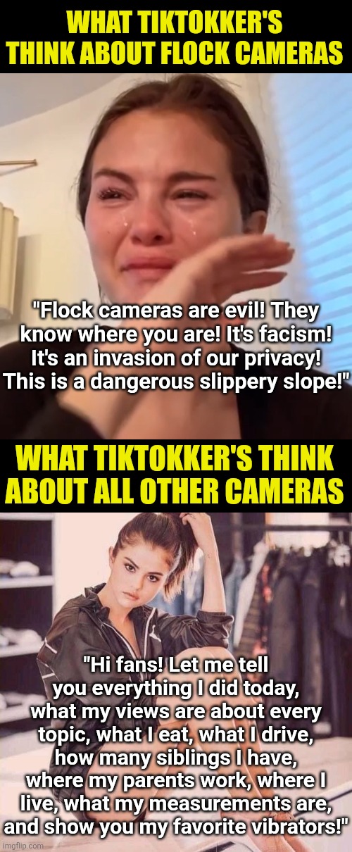 Why are Flock camera's loudest critics the SAME people who run to a camera to tell the ENTIRE planet everything they are doing? | What Tiktokker's think about flock cameras; "Flock cameras are evil! They know where you are! It's facism! It's an invasion of our privacy! This is a dangerous slippery slope!"; What Tiktokker's think about all other cameras; "Hi fans! Let me tell you everything I did today, what my views are about every topic, what I eat, what I drive, how many siblings I have, where my parents work, where I live, what my measurements are, and show you my favorite vibrators!" | image tagged in flock cameras,privacy,cameras,hypocrisy,you can't explain that,tiktok | made w/ Imgflip meme maker