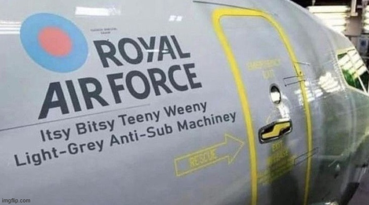 That's Neat | image tagged in military,memes,climbing,lattice climbing,aviation,latticeclimbing | made w/ Imgflip meme maker
