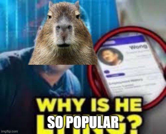 why is he lying | so popular | image tagged in why is he lying | made w/ Imgflip meme maker
