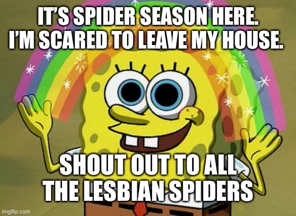 Imagination Spongebob Meme | It’s spider season here. I’m scared to leave my house. Shout out to all the lesbian spiders | image tagged in memes,imagination spongebob | made w/ Imgflip meme maker