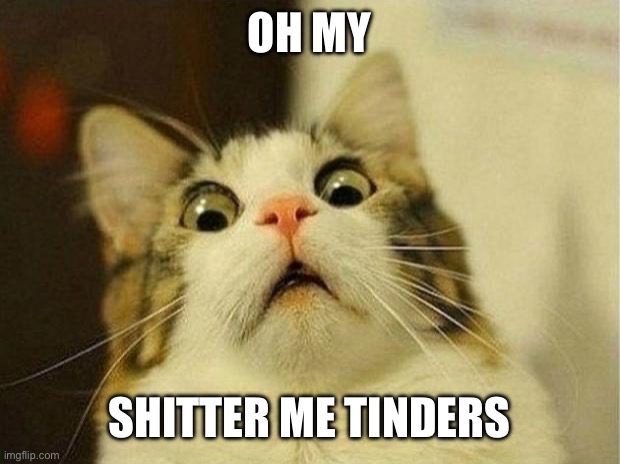 OH MY SHITTER ME TINDERS | image tagged in memes,scared cat | made w/ Imgflip meme maker