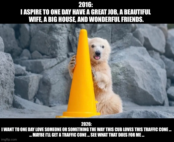 Life Goals | 2016: 
I aspire to one day have a great job, a beautiful 
wife, a big house, and wonderful friends. 2026: 
I want to one day love someone or something the way this cub loves this traffic cone … 
… maybe I’ll get a traffic cone … See what that does for me … | image tagged in cub,traffic cone,fun,life goals | made w/ Imgflip meme maker