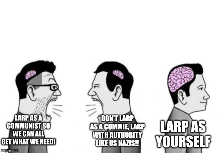 2 dumbass arguing while a smartass is ignoring them | larp as a communist so we can all get what we need! don't larp as a commie, larp with authority like us nazis!! larp as yourself | image tagged in 2 dumbass arguing while a smartass is ignoring them,fresh memes,capitalist and communist,larp,political meme | made w/ Imgflip meme maker