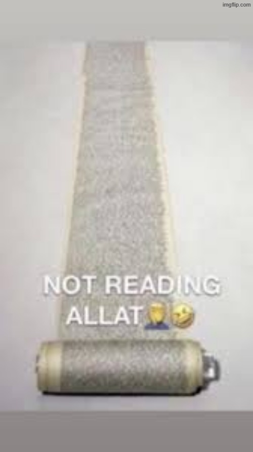 I aint reading allat | image tagged in i aint reading allat | made w/ Imgflip meme maker