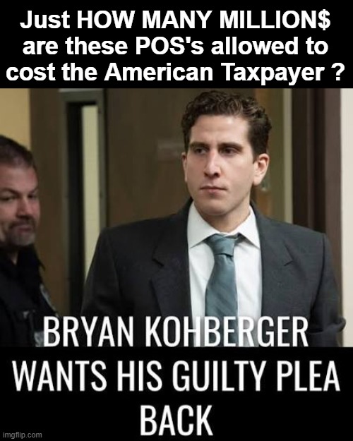 No wonder Congress is fulla lawyers Make laws for "Billable Hours' | Just HOW MANY MILLION$ are these POS's allowed to cost the American Taxpayer ? | image tagged in bryan kohberger meme | made w/ Imgflip meme maker