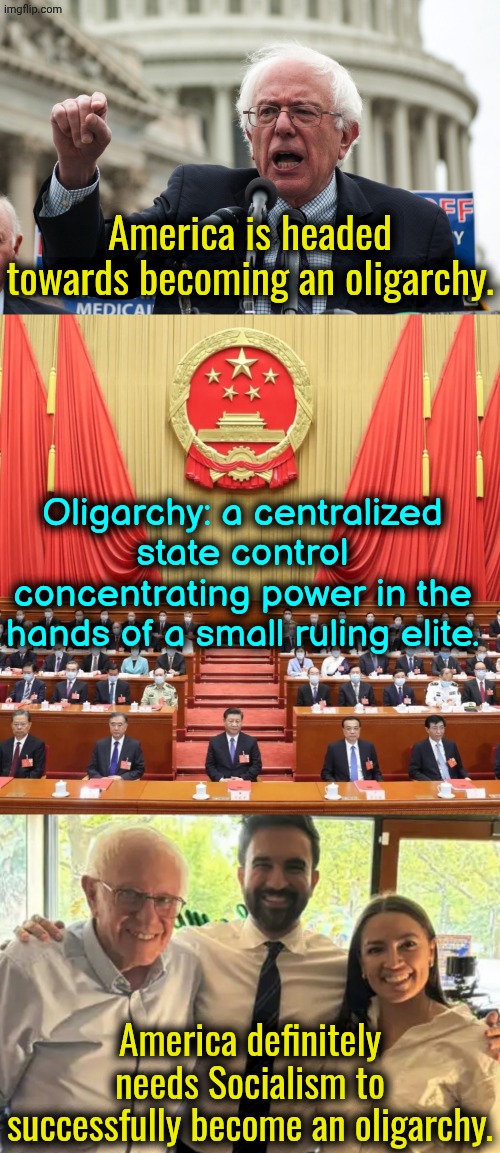 Oligarchy, the wet dream of millionaire socialist bourgeois. | America is headed towards becoming an oligarchy. Oligarchy: a centralized state control concentrating power in the hands of a small ruling elite. America definitely needs Socialism to successfully become an oligarchy. | image tagged in socialism,liberals,america,democrats | made w/ Imgflip meme maker
