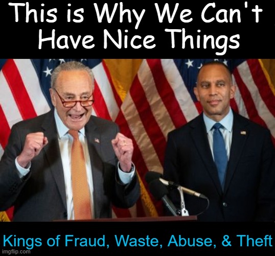 Whatever happened to civilized normality? | This is Why We Can't 
Have Nice Things; Kings of Fraud, Waste, Abuse, & Theft | image tagged in democrats,standards,clowns,theft,fraud,waste of money | made w/ Imgflip meme maker