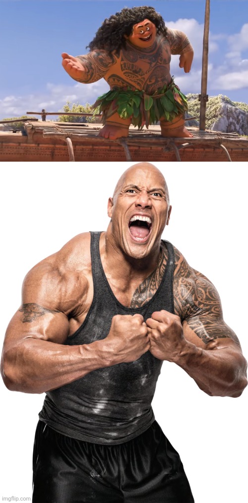 image tagged in you're welcome without subs,the rock | made w/ Imgflip meme maker