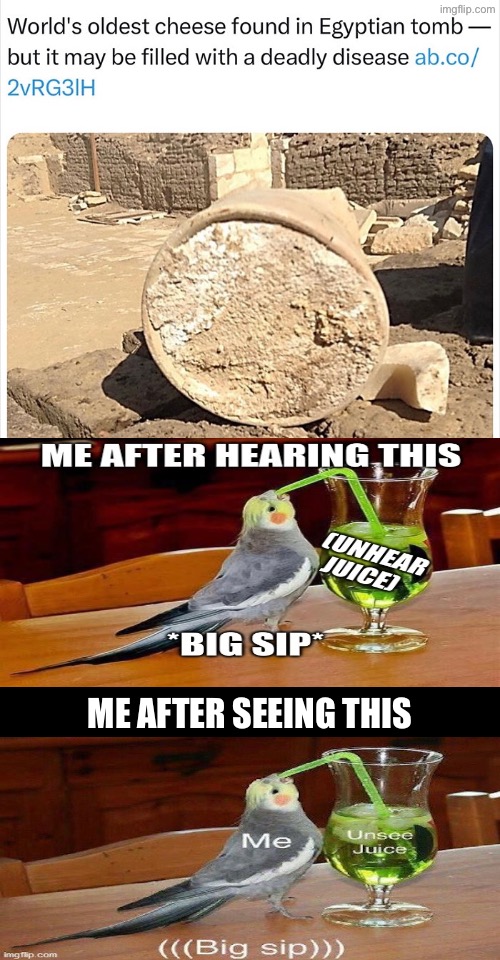 Me after seeing this | image tagged in unsee juice,unhear juice,big sip,beyond cursed,ancient egypt,cheese | made w/ Imgflip meme maker