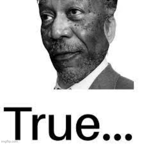 image tagged in morgan freeman true | made w/ Imgflip meme maker