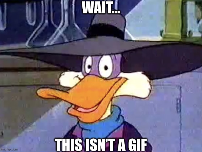 https://imgflip.com/i/azwpbt | WAIT… THIS ISN’T A GIF | image tagged in derpwing dork,not really a gif,not a gif,you had one job,reaction meme,well this is awkward | made w/ Imgflip meme maker