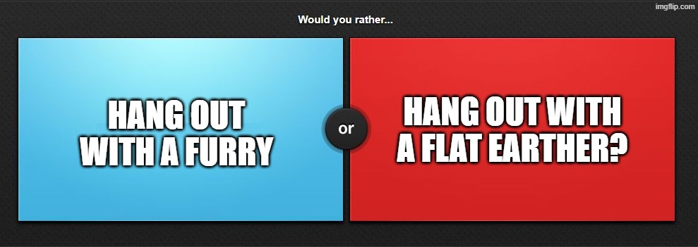 Furry Or Flat Earther | Hang out with a flat earther? Hang out with a furry | image tagged in would you rather,memes,furry,flat earther,question | made w/ Imgflip meme maker