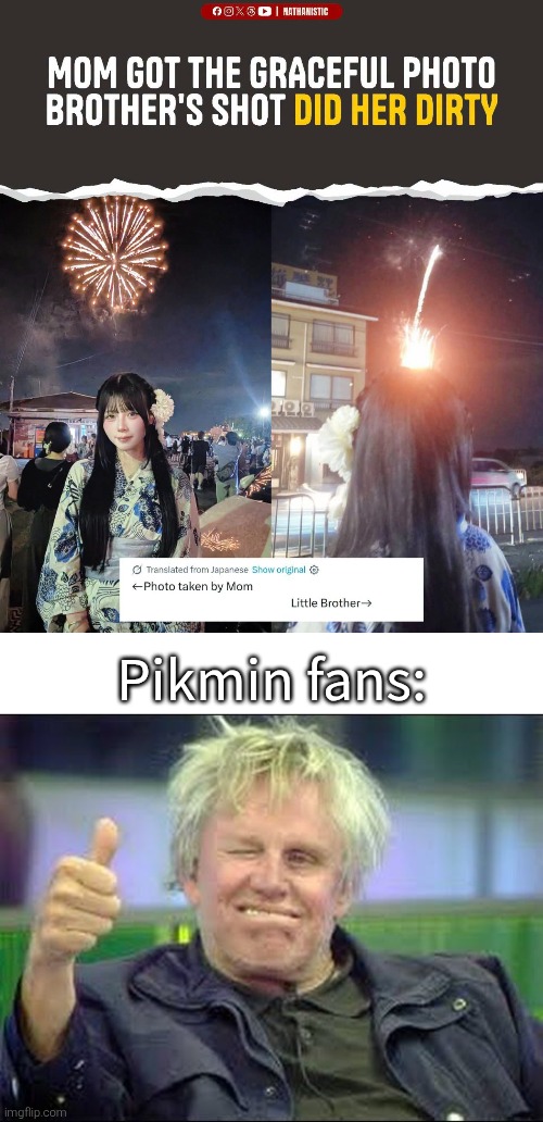 Good job, little Brother! | Pikmin fans: | image tagged in gary busey approves,pikmin | made w/ Imgflip meme maker