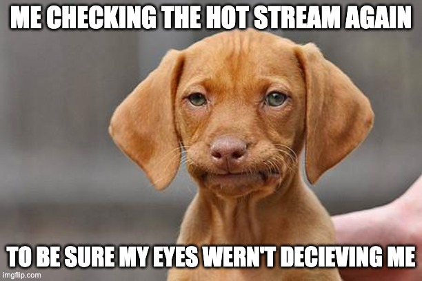 3 of the New memes were funnier than the Hot stream, for shame! | Me checking the Hot Stream again; to be sure my eyes wern't decieving me | image tagged in dissapointed puppy,shame,lame memes,mediocre,do better | made w/ Imgflip meme maker