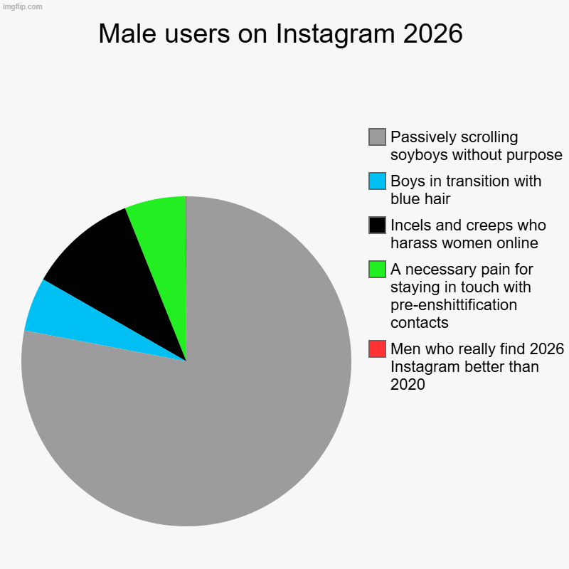 Men who still use Instagram in 2026 | Male users on Instagram 2026 | Men who really find 2026 Instagram better than 2020, A necessary pain for staying in touch with pre-enshittif | image tagged in charts,pie charts,incel,instagram | made w/ Imgflip chart maker