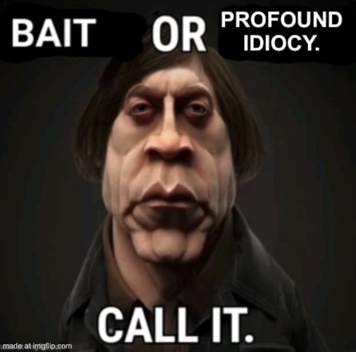 Bait or profound idiocy | image tagged in bait or profound idiocy | made w/ Imgflip meme maker