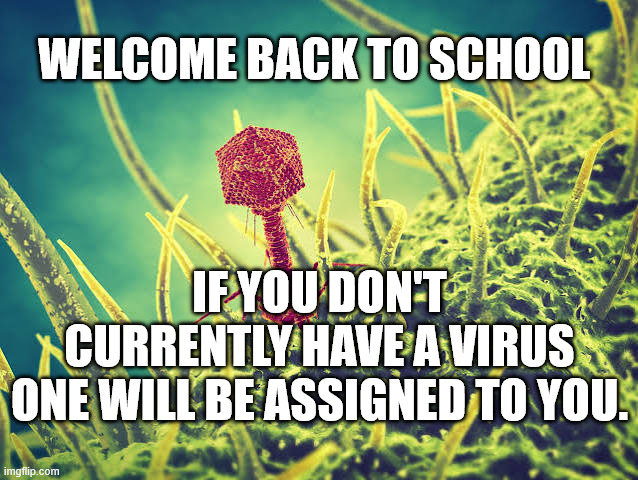 School Virus | Welcome Back To School; If You don't Currently Have A Virus
One Will Be Assigned To You. | image tagged in school virus | made w/ Imgflip meme maker