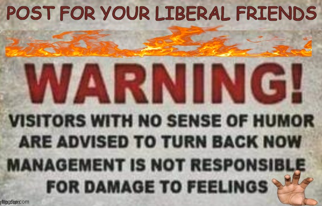 Feelz | Post for your liberal friends | image tagged in liberals,butthurt liberals,overly sensitive,justgirlythings,humor,dr phil what's wrong with people | made w/ Imgflip meme maker