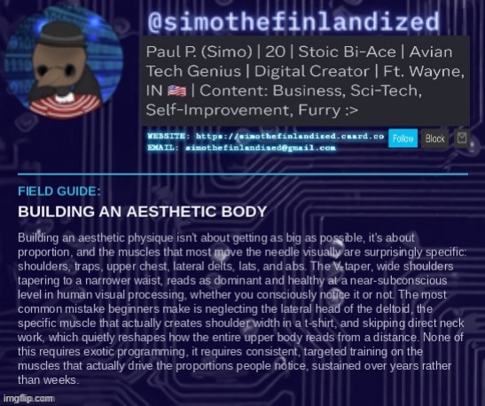 Building an aesthetic body (some cheeky tips and tricks) ovo | image tagged in simothefinlandized,aesthetic body,self improvement,announcement,tutorial | made w/ Imgflip meme maker