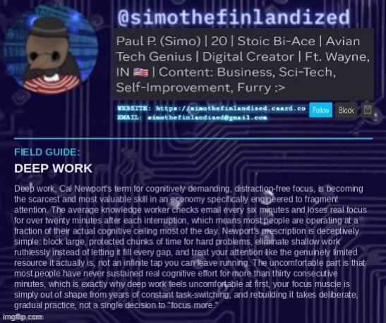 Deep work (and how to practice it) ovo | image tagged in simothefinlandized,deep work,self improvement,announcement,tutorial | made w/ Imgflip meme maker