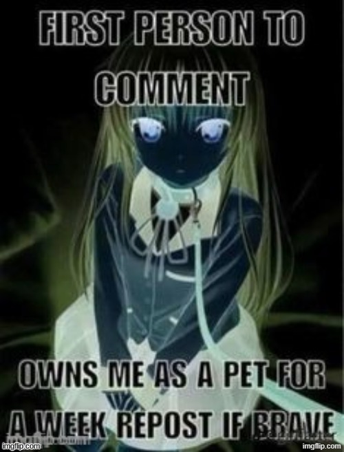 first person to comment owns as a pet for a week | image tagged in first person to comment owns as a pet for a week | made w/ Imgflip meme maker