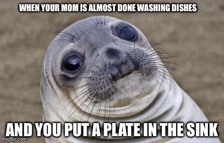Awkward Moment Sealion | WHEN YOUR MOM IS ALMOST DONE WASHING DISHES AND YOU PUT A PLATE IN THE SINK | image tagged in memes,awkward moment sealion | made w/ Imgflip meme maker