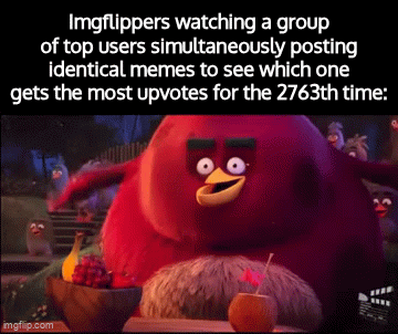 The Great Duplicate Meme Experiment