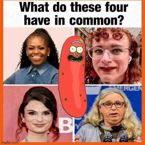 What do these 4 have in common? | image tagged in img 7 jpeg,transexuals,big pickle | made w/ Imgflip meme maker