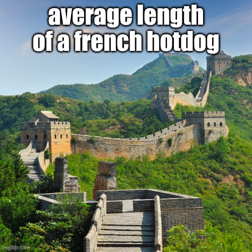 the-great-wall-of-china.jpg | average length of a french hotdog | image tagged in great wall of china | made w/ Imgflip meme maker