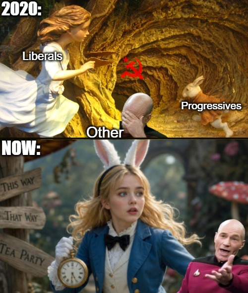 2020:; Liberals; Progressives; Other; Now: | image tagged in alice in wonderland,politics,startrek,captain picard facepalm,liberals | made w/ Imgflip meme maker