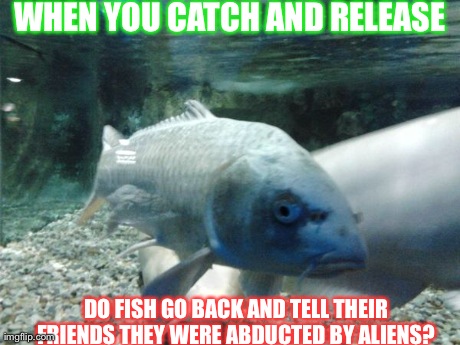 fishman | WHEN YOU CATCH AND RELEASE DO FISH GO BACK AND TELL THEIR FRIENDS THEY WERE ABDUCTED BY ALIENS? | image tagged in fishman | made w/ Imgflip meme maker