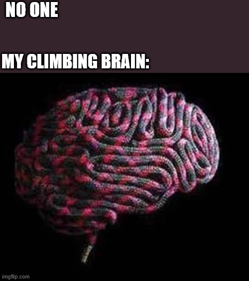 Brain from a Climber | no one; my climbing brain: | image tagged in climbing,climbing memes,lattice climbing,tower climber,iron worker,latticeclimbing | made w/ Imgflip meme maker