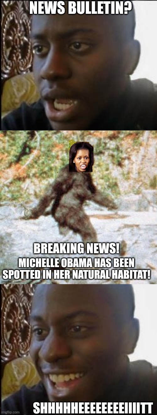 News bulletin? Breaking News! Michelle obama has been spotted in her natural habitat! Shhhhheeeeeeeeiiiitt | image tagged in disappointed black guy,michelle the sasquatch | made w/ Imgflip meme maker