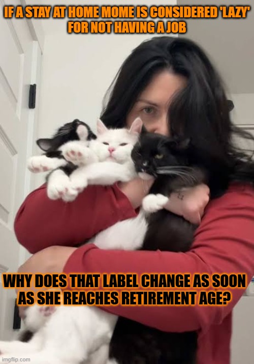 This #lolcat wonders if all jobless people are lazy | If a stay at home mome is considered 'lazy'
for not having a job; why does that label change as soon
as she reaches retirement age? | image tagged in lazy,work,mom,retirement,lolcat | made w/ Imgflip meme maker