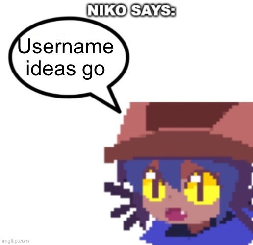 niko says | Username ideas go | image tagged in niko says | made w/ Imgflip meme maker