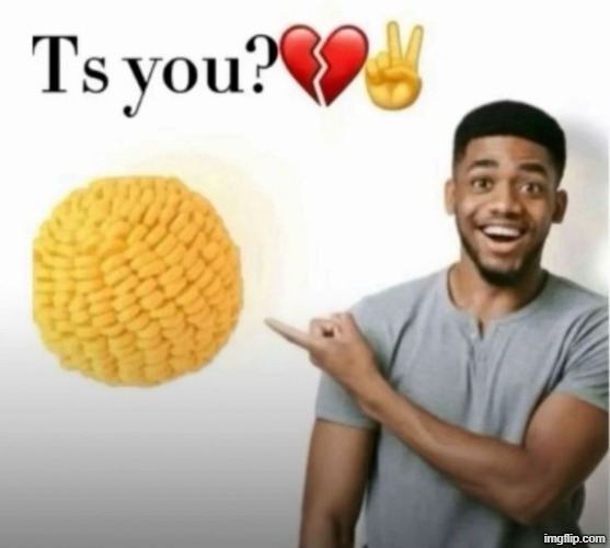 ts you? | image tagged in ts you | made w/ Imgflip meme maker